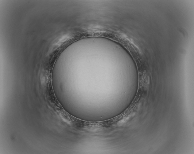 X0000110971157200907171704