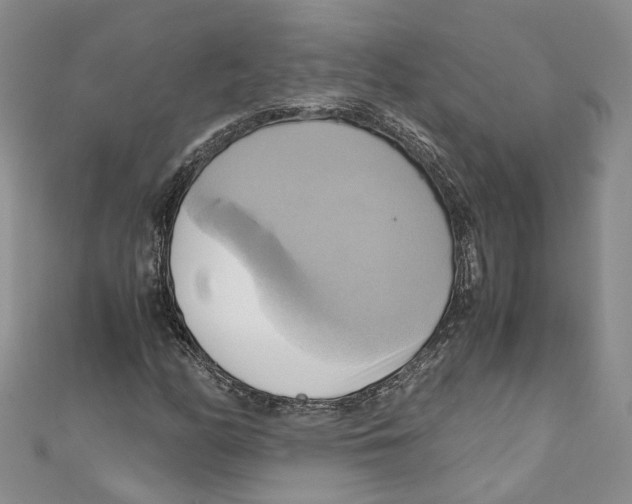 X0000110971158200907171704