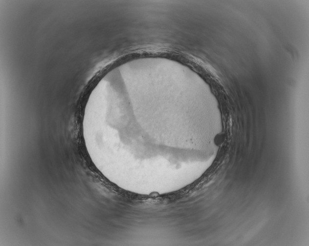 X0000110971160200907171704
