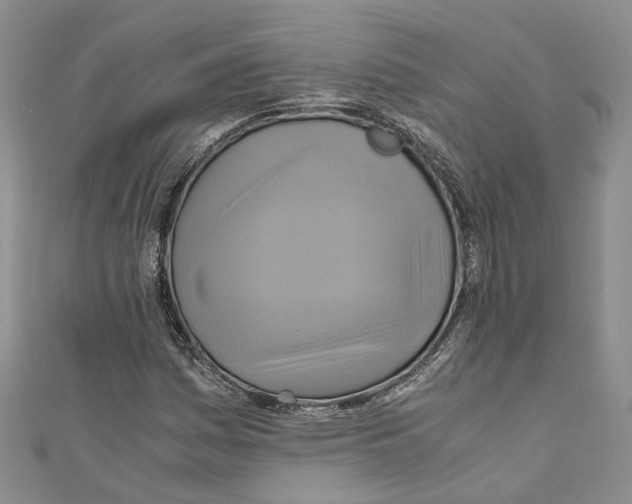 X0000110971161200907171704