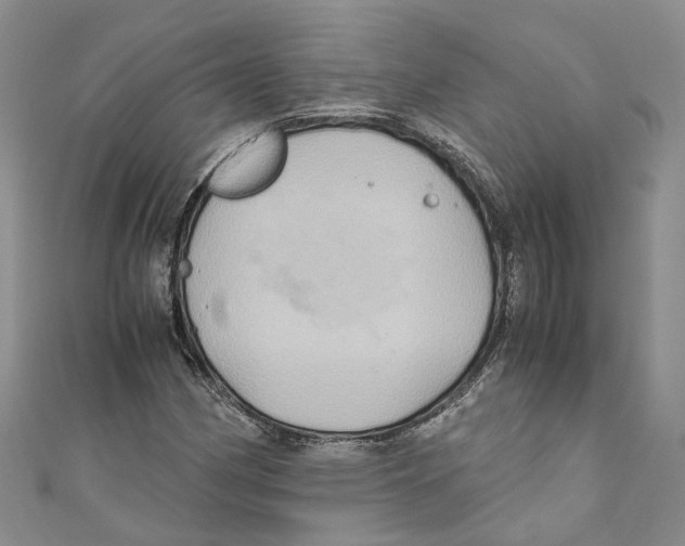X0000110971162200907171704