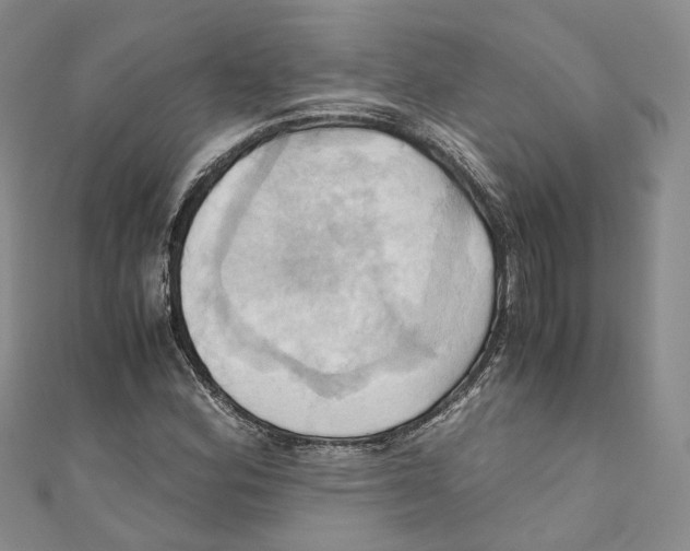 X0000110971164200907171704