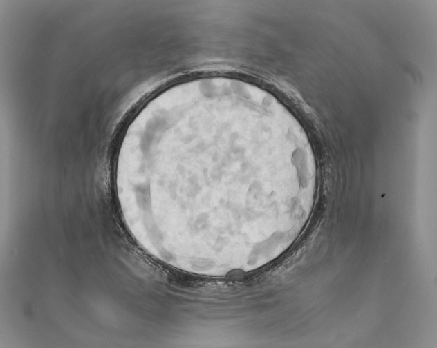 X0000110971167200907171704