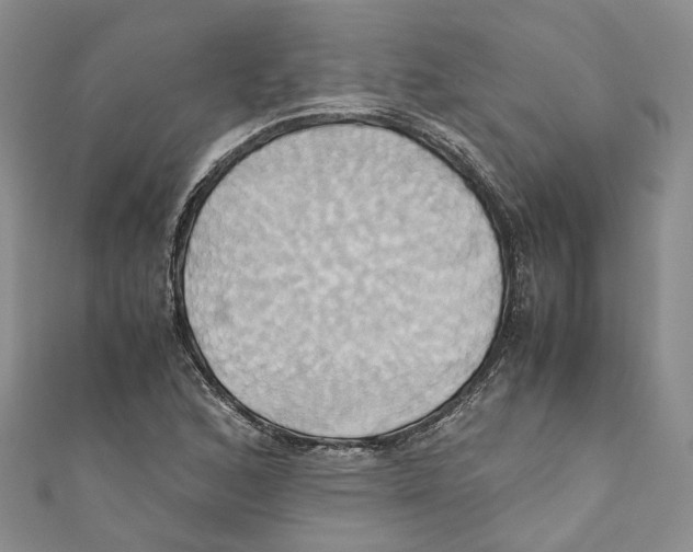X0000110971168200907171704