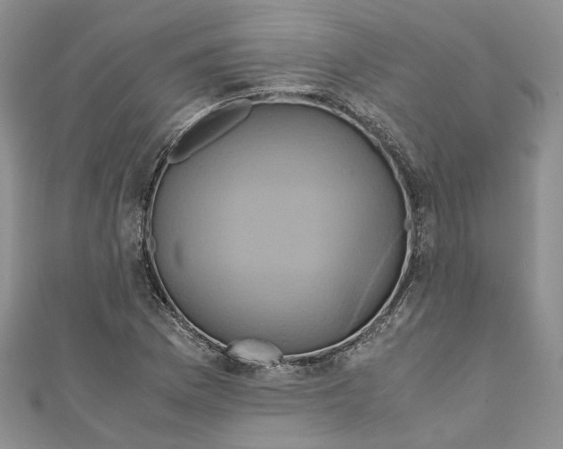 X0000110971169200907171704