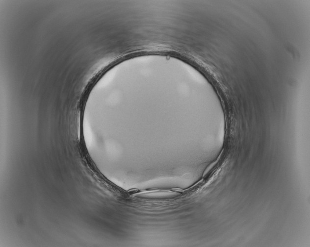 X0000110971171200907171704
