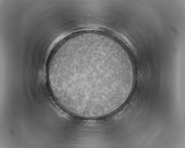 X0000110971172200907171704