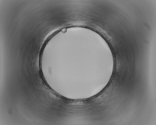 X0000110971174200907171704