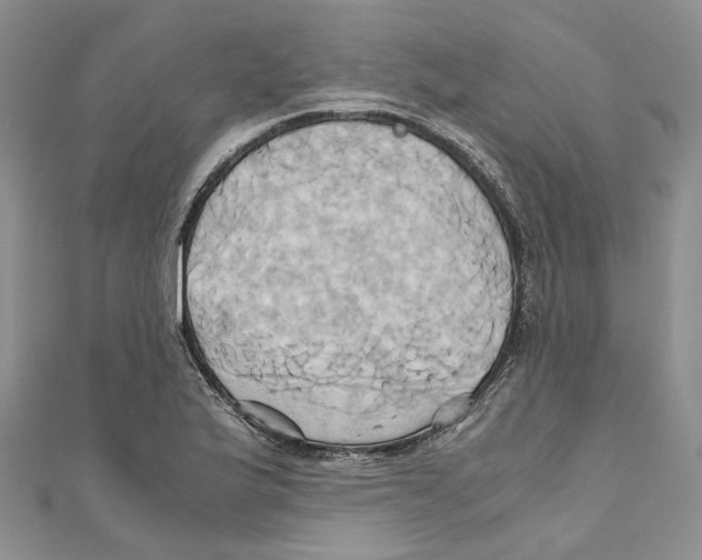 X0000110971175200907171704
