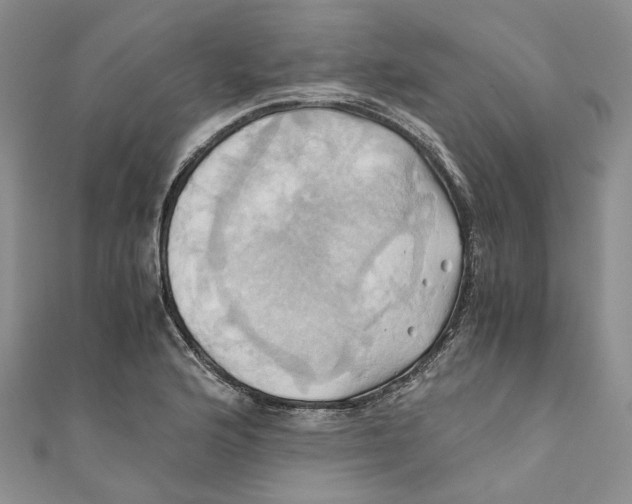 X0000110971176200907171704
