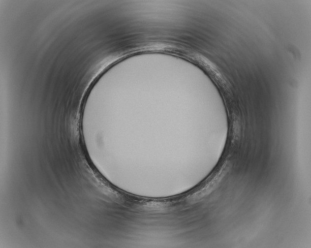 X0000110971178200907171704