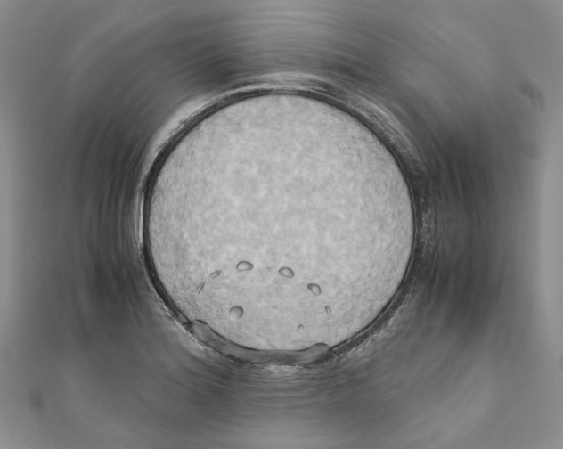 X0000110971180200907171704