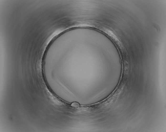 X0000110971181200907171704