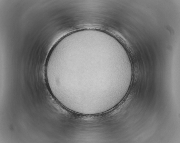 X0000110971182200907171704
