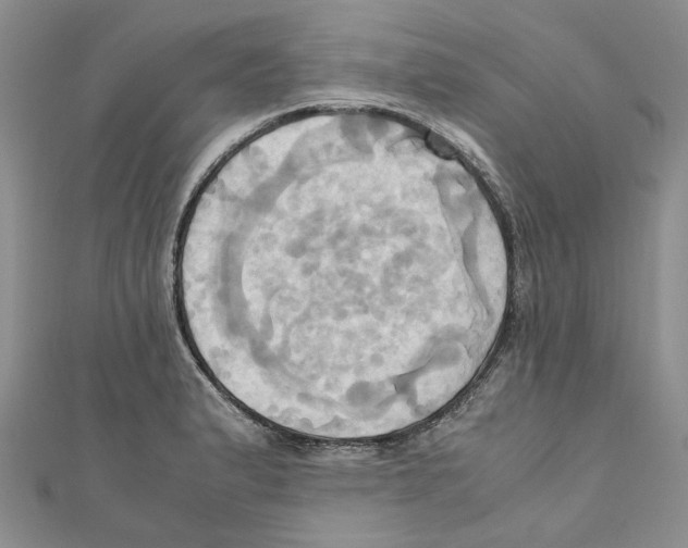 X0000110971183200907171704