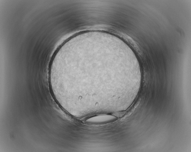 X0000110971184200907171704