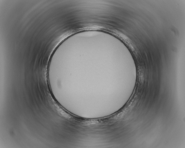 X0000110971186200907171704