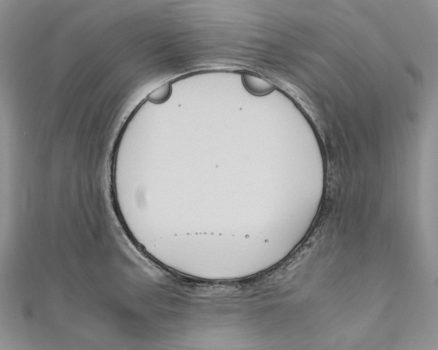 X0000110971187200907171704