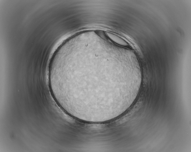 X0000110971188200907171704