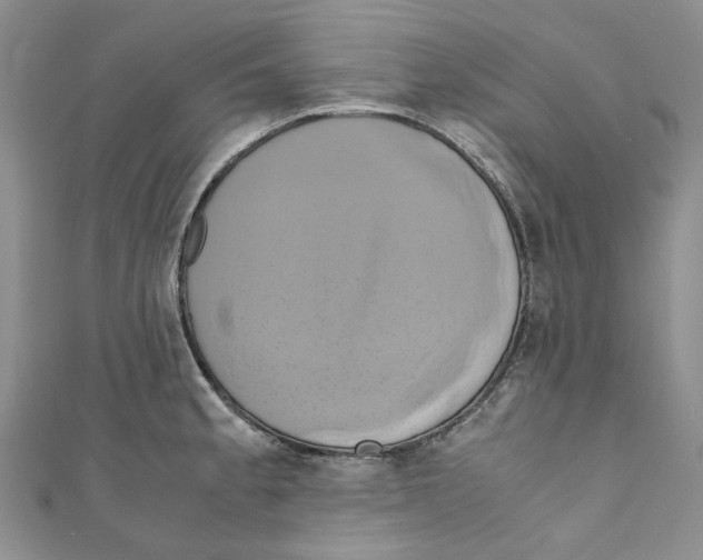 X0000110971189200907171704