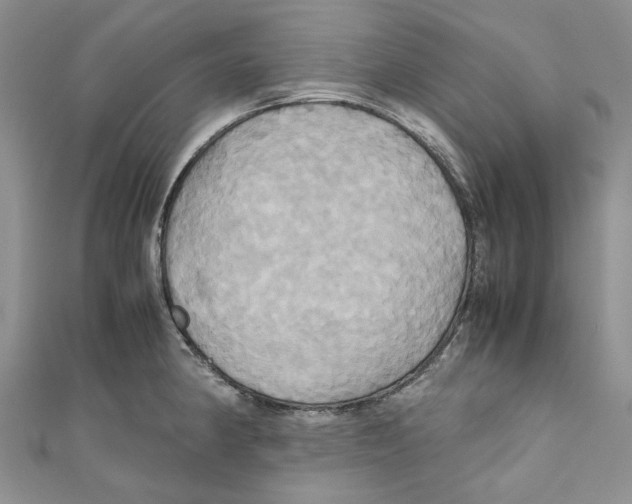 X0000110971190200907171704