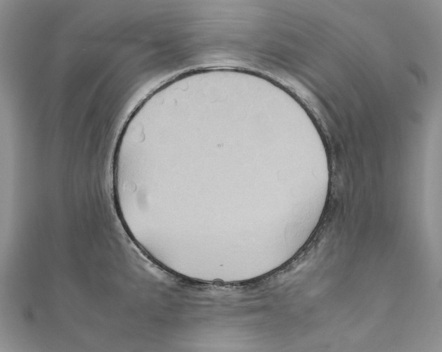 X0000110971191200907171704