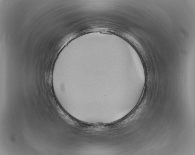 X0000110971193200907171704