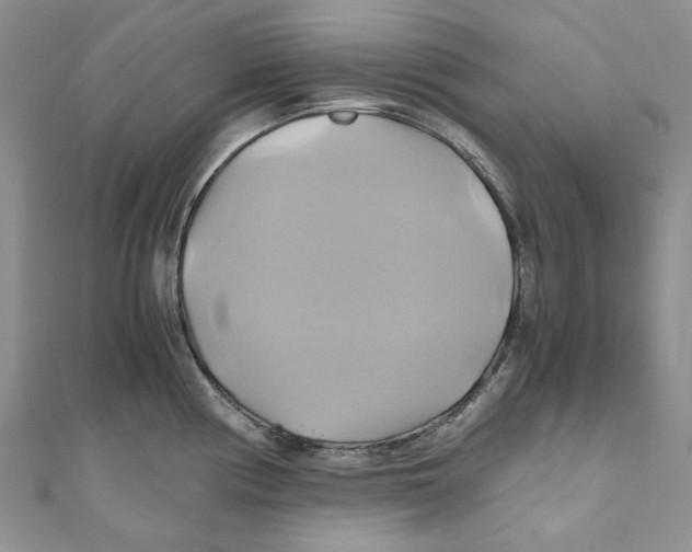 X0000110971194200907171704