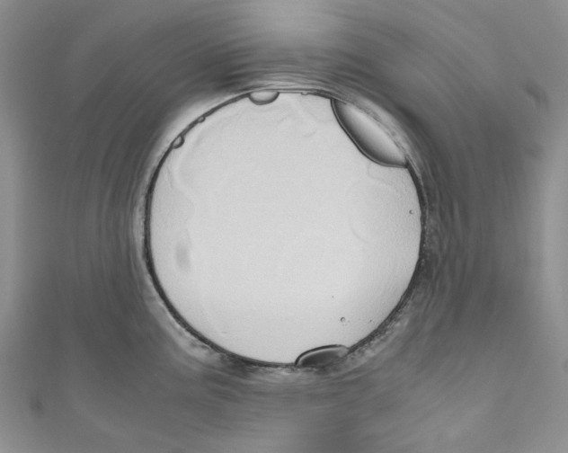 X0000110971195200907171704
