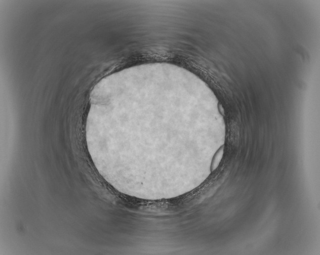 X0000110971201200907171703
