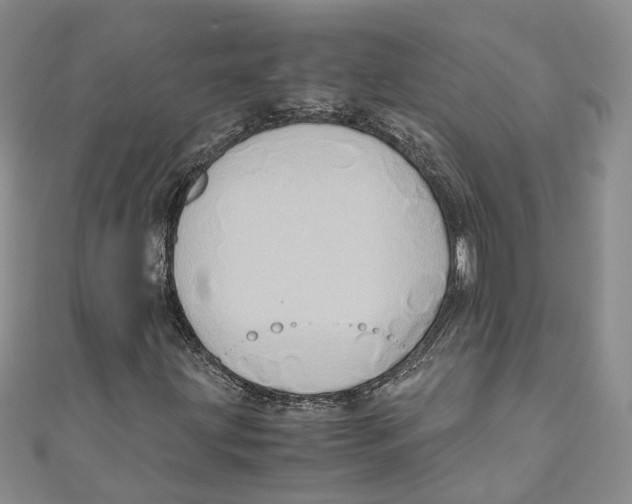 X0000110971203200907171703