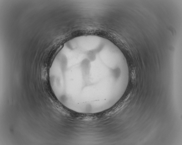 X0000110971204200907171703