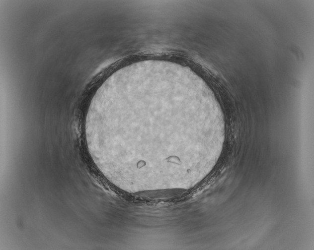 X0000110971206200907171703