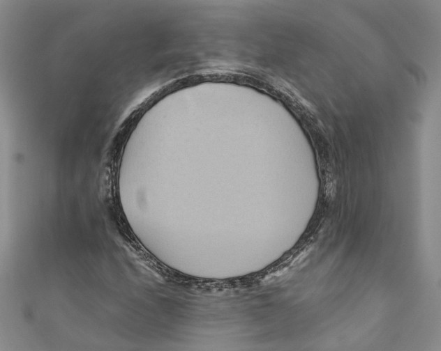 X0000110971208200907171703