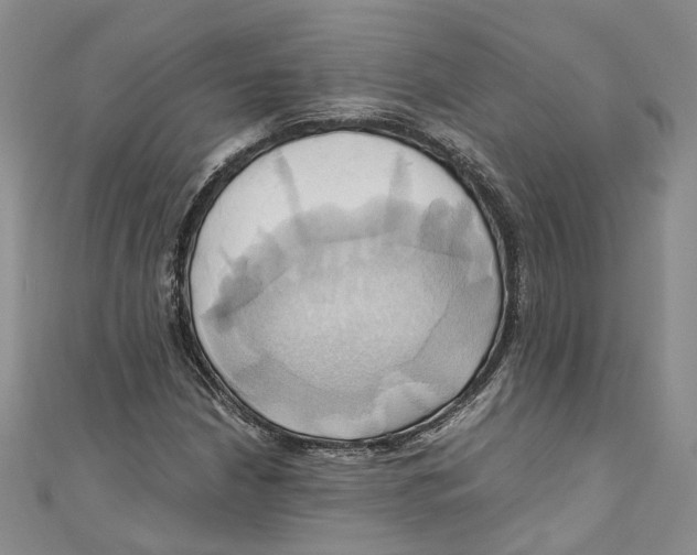 X0000110971210200907171703
