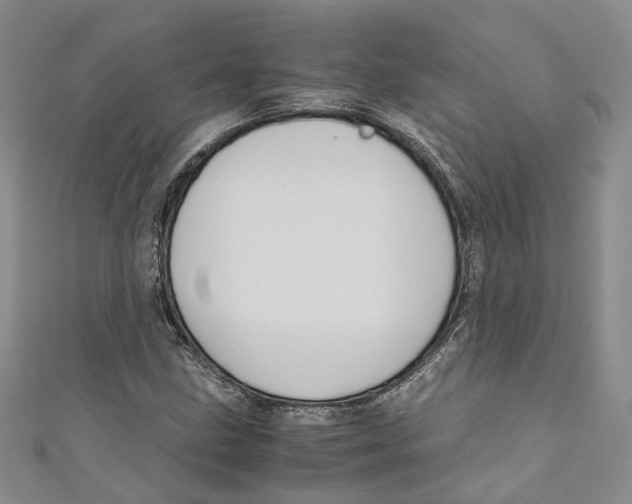 X0000110971211200907171703