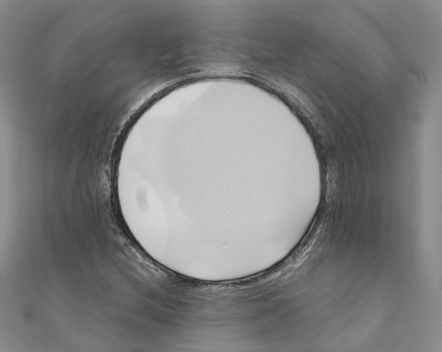 X0000110971212200907171703