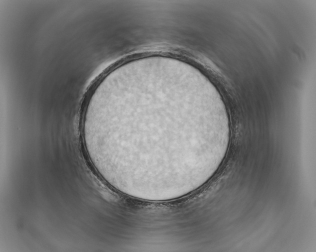 X0000110971216200907171703