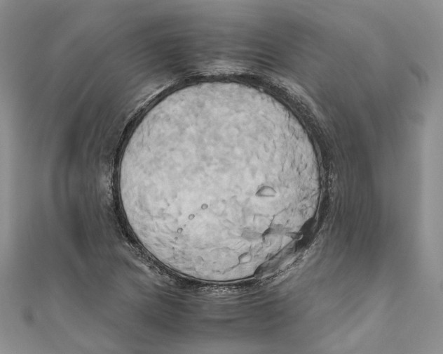 X0000110971217200907171703