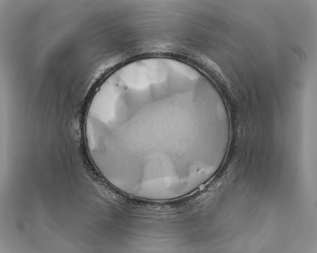 X0000110971218200907171703