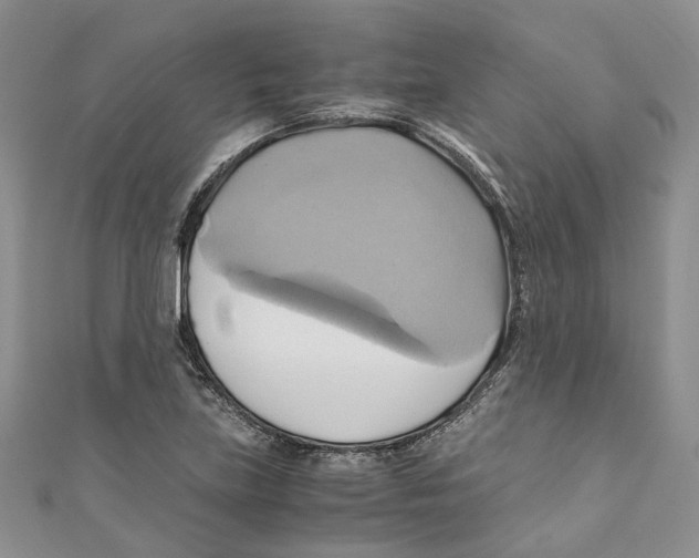 X0000110971219200907171703