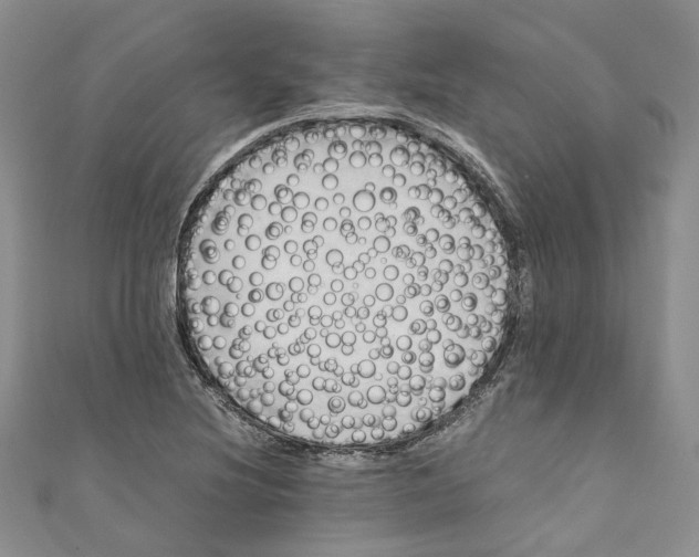 X0000110971220200907171703