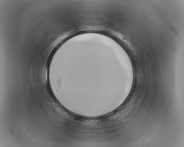 X0000110971221200907171703