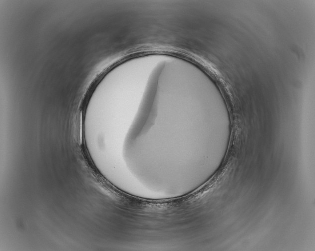 X0000110971223200907171703