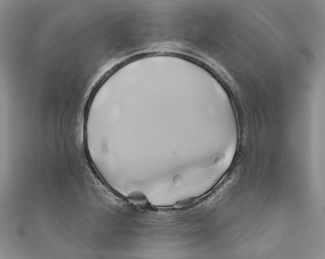 X0000110971224200907171703
