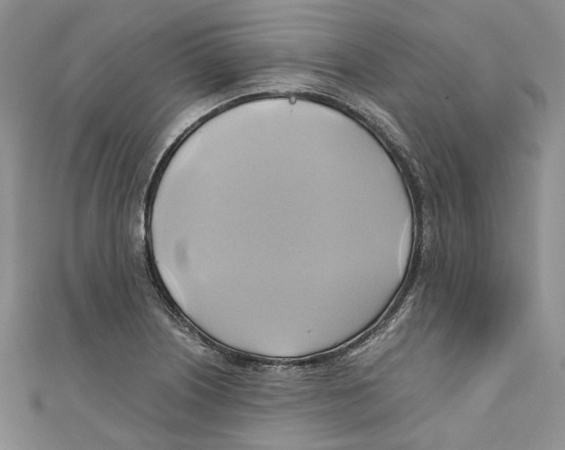 X0000110971226200907171703
