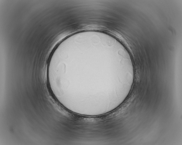 X0000110971227200907171703