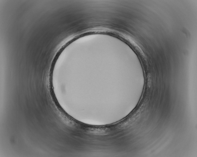 X0000110971229200907171704