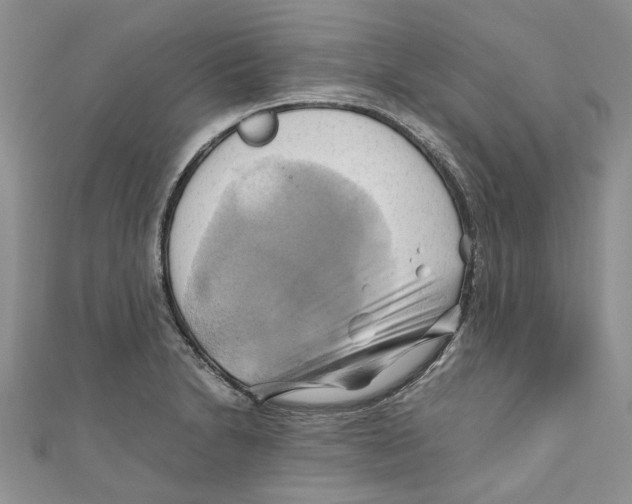 X0000110971230200907171704