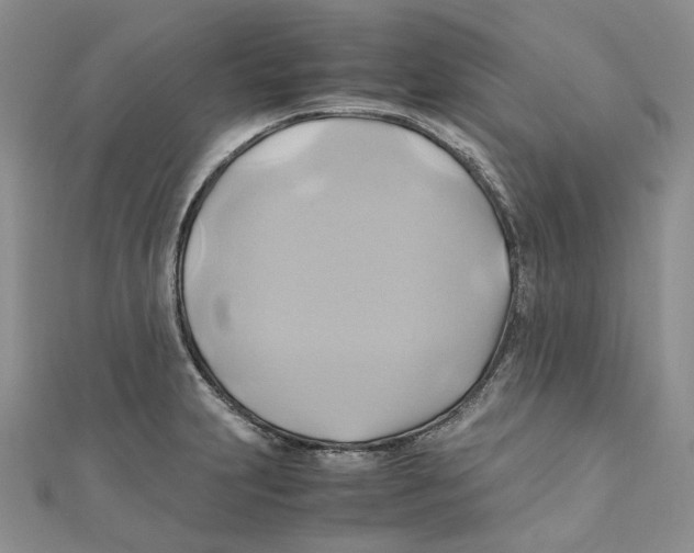 X0000110971231200907171704